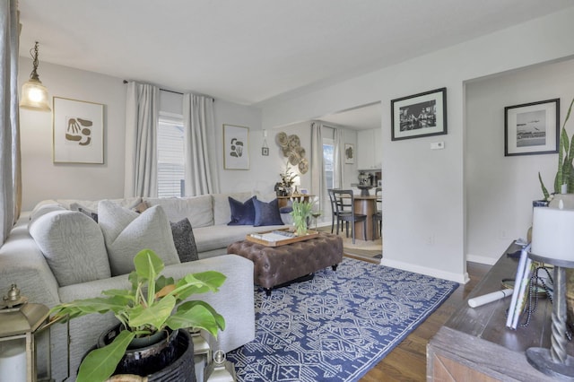 living room with dark hardwood / wood-style flooring