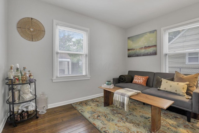 living room featuring dark hardwood / wood-style floors