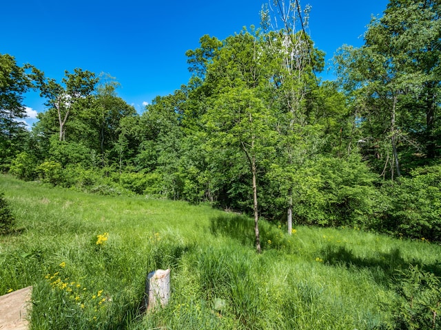 view of landscape