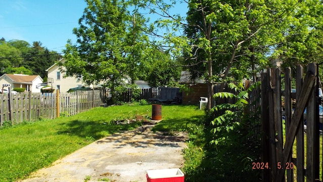 view of yard