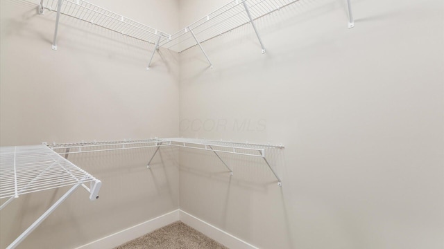 spacious closet featuring carpet flooring