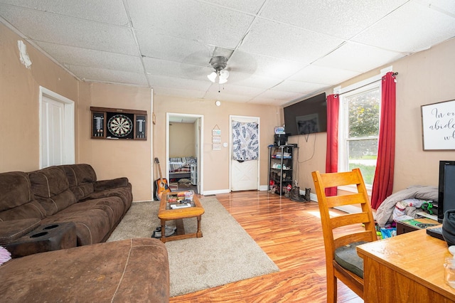 living room with a drop ceiling, ceiling fan, and wood-type flooring