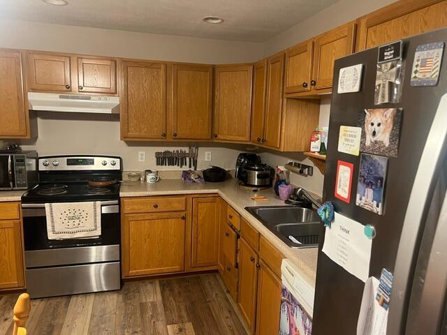 kitchen with dark hardwood / wood-style floors, sink, and stainless steel appliances