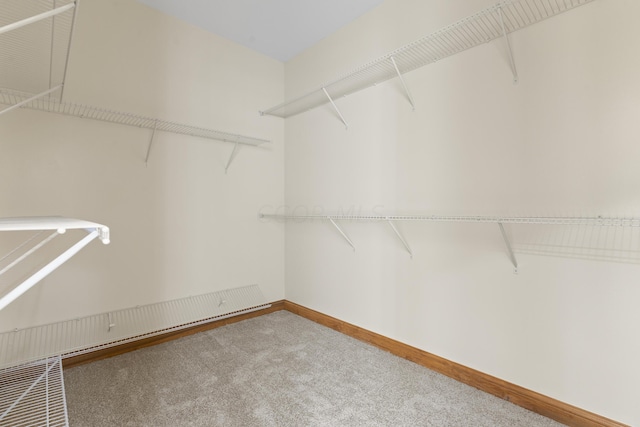 walk in closet with carpet flooring