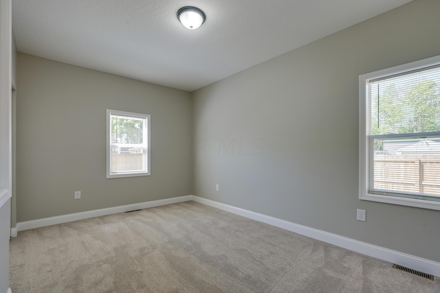 unfurnished room featuring light colored carpet and a healthy amount of sunlight