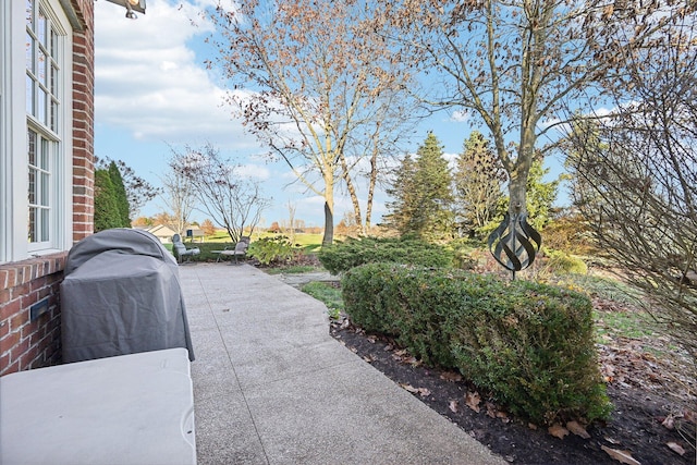 view of patio / terrace with grilling area