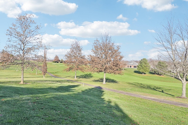 view of community featuring a lawn