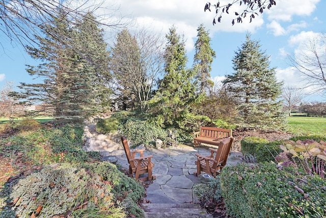 view of yard with a patio