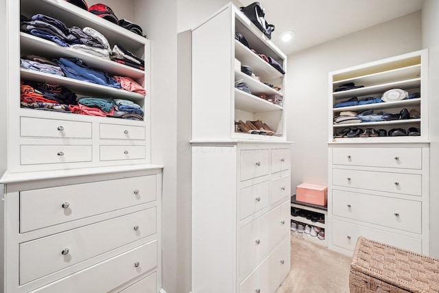 walk in closet with light carpet