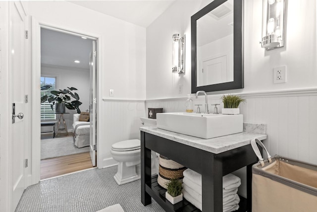 bathroom featuring vanity, toilet, and wood-type flooring