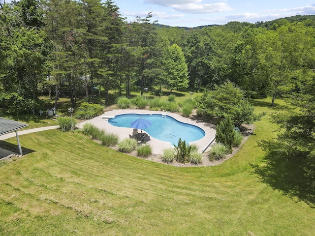 view of swimming pool featuring a lawn