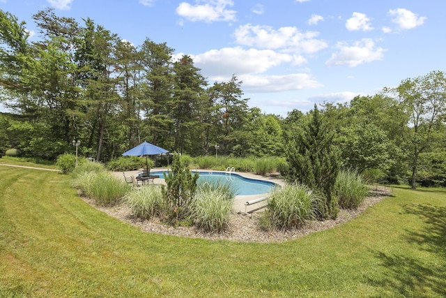 view of swimming pool featuring a yard