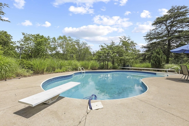 view of swimming pool with a patio and a diving board