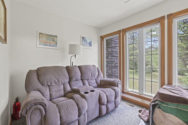 living room featuring a wealth of natural light