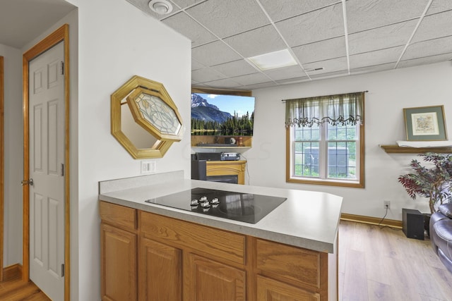 kitchen with black electric cooktop, plenty of natural light, and light hardwood / wood-style flooring