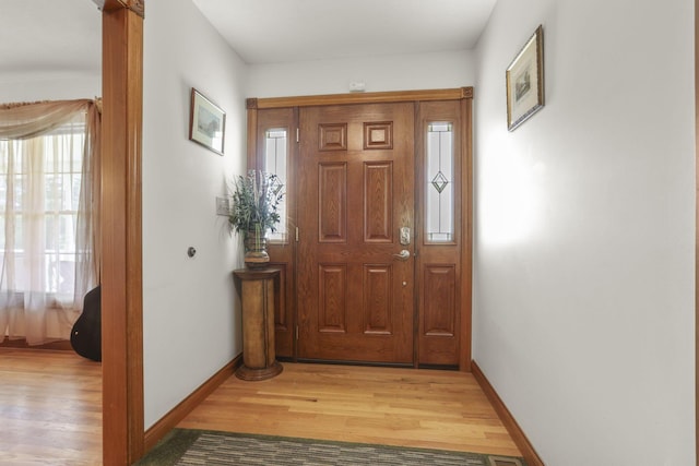 entrance foyer featuring wood-type flooring