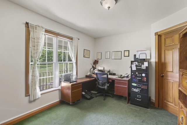 view of carpeted home office