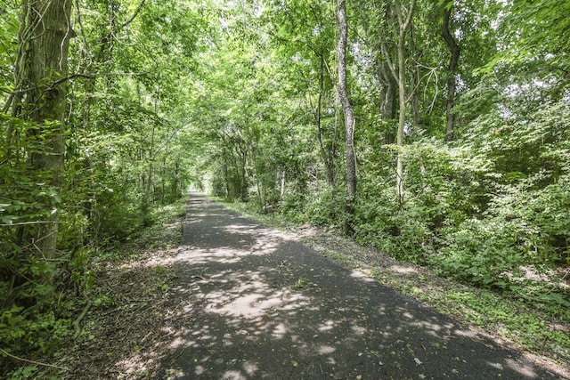 view of local wilderness