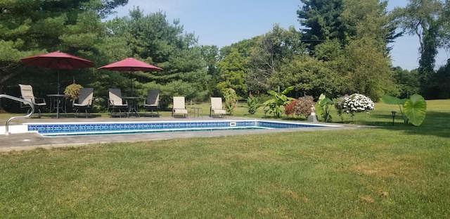 view of pool featuring a yard