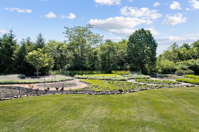 view of property's community with a lawn