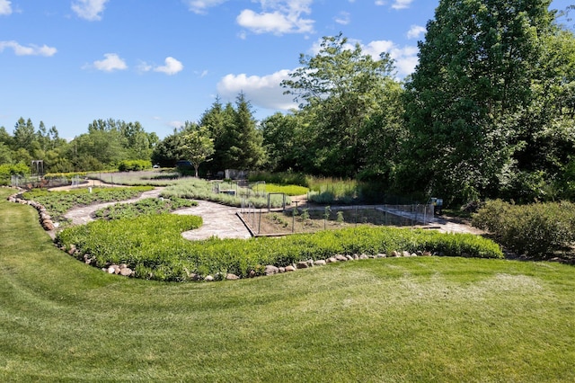 view of property's community with a yard