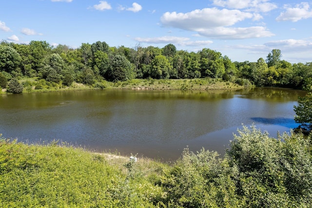 property view of water