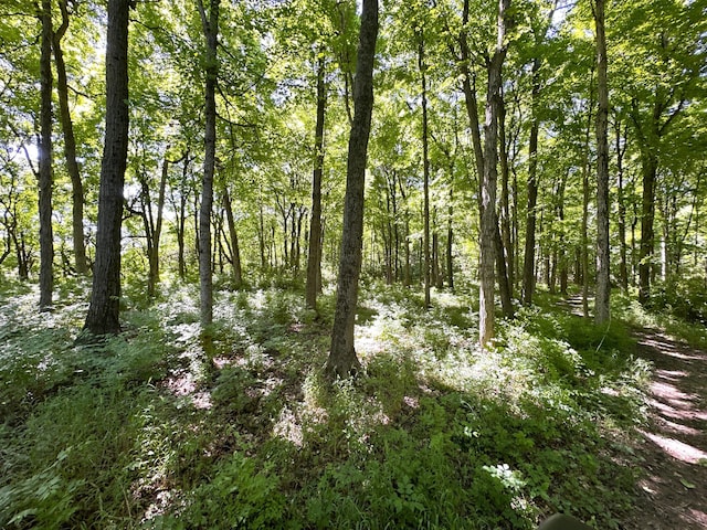 view of landscape