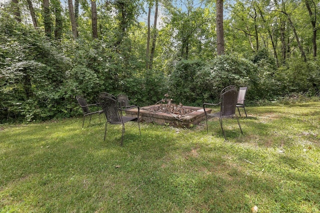 view of yard featuring an outdoor fire pit