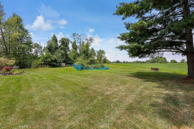 view of yard with a rural view