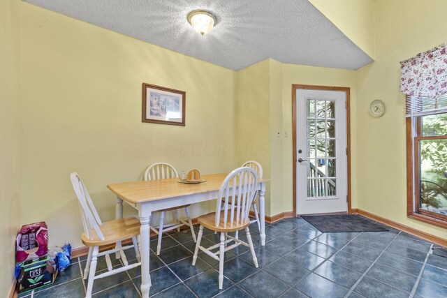 dining space featuring plenty of natural light and a textured ceiling