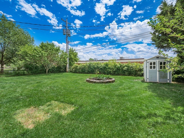 view of yard featuring a shed