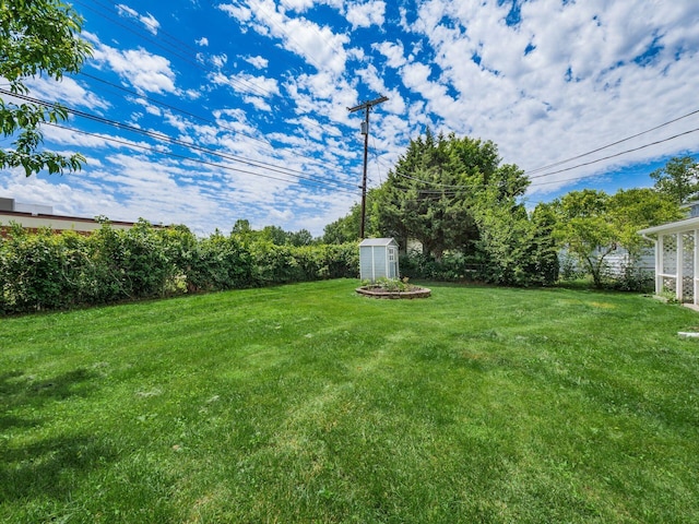 view of yard featuring a shed