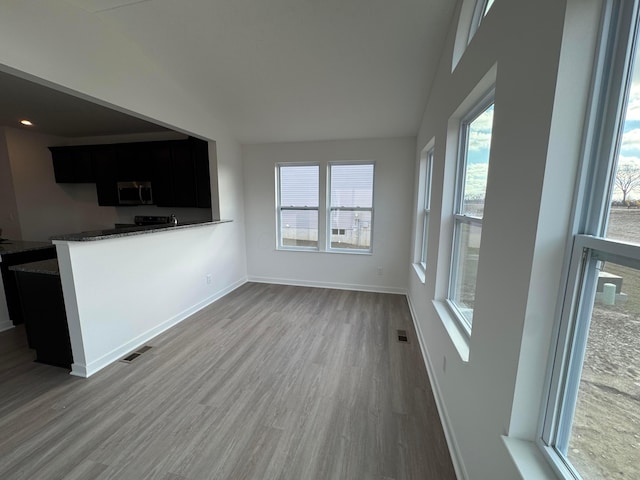 unfurnished living room with wood-type flooring, plenty of natural light, and lofted ceiling