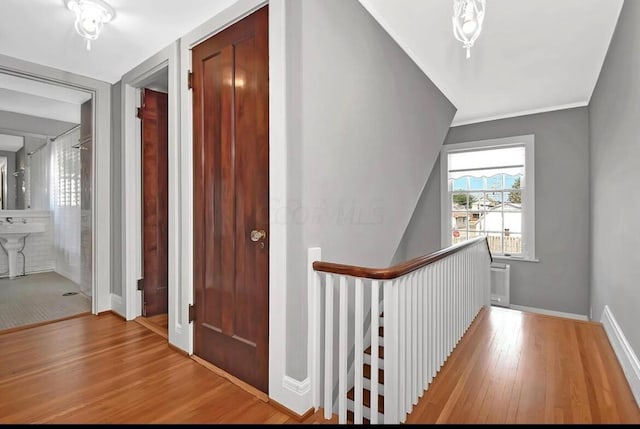 hall with crown molding and light hardwood / wood-style floors