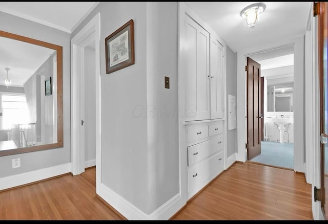 hall with light hardwood / wood-style floors and ornamental molding