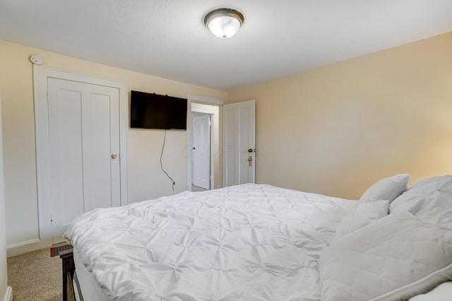 bedroom with carpet floors