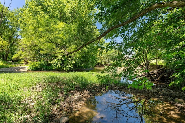 view of landscape featuring a water view