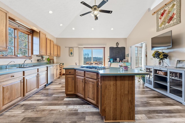 kitchen with dark hardwood / wood-style floors, a wealth of natural light, stainless steel appliances, and a center island