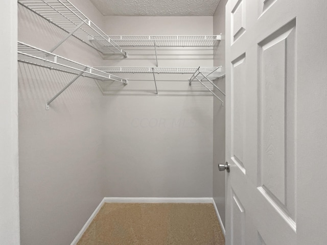 spacious closet with carpet flooring