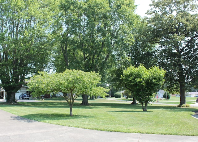 view of home's community featuring a yard