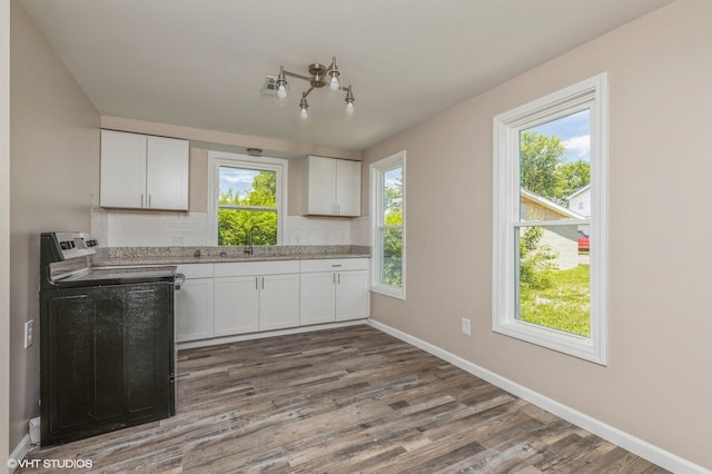 kitchen with white cabinets, dark hardwood / wood-style flooring, and a wealth of natural light