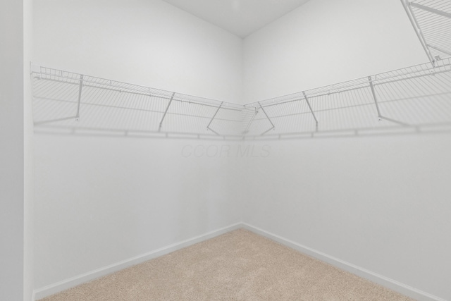 spacious closet with carpet flooring