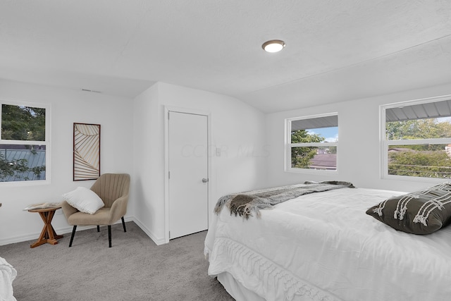 carpeted bedroom featuring vaulted ceiling