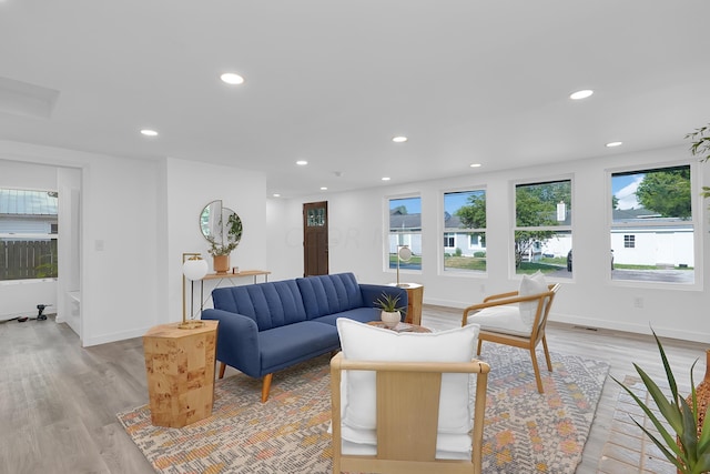 living room with light hardwood / wood-style floors and plenty of natural light