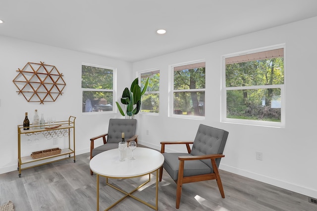 sitting room featuring hardwood / wood-style flooring