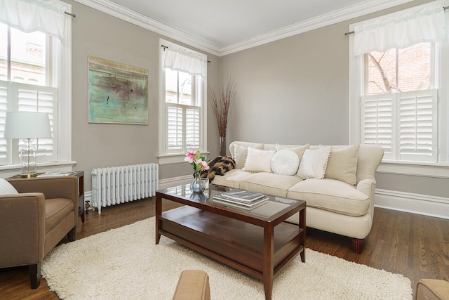 living area with radiator, crown molding, baseboards, and wood finished floors