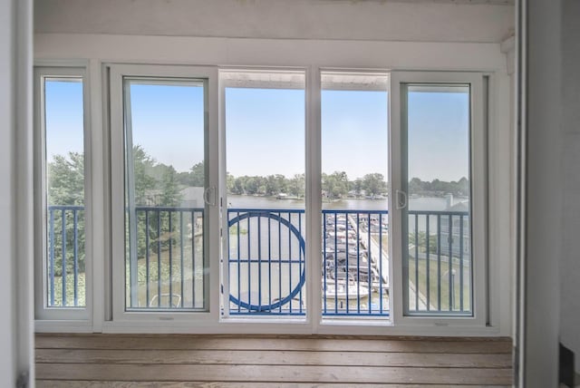 doorway with a healthy amount of sunlight, a water view, and wood-type flooring