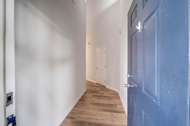 hall featuring hardwood / wood-style floors