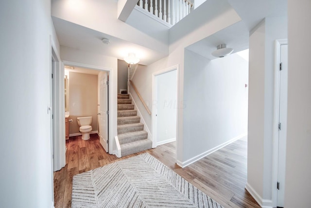 staircase featuring wood-type flooring