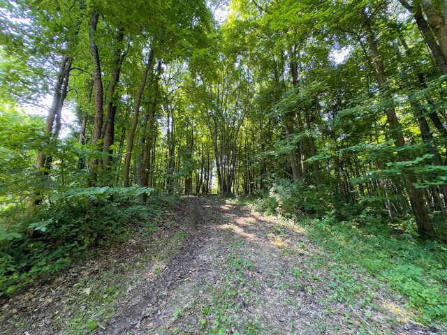 3579 Township Road 124 NE, Somerset, OH 43783 - photo 4